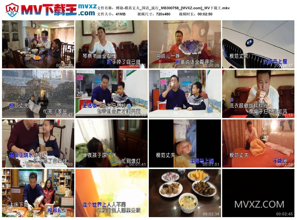 傅晓-模范丈夫_国语_流行_MB300758